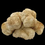 MELENA DE LEÓN DESHIDRATADA x 100g