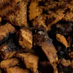 CHAGA DESHIDRATADO x 100g