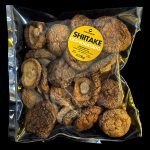 SHIITAKE DESHIDRATADO x 100g