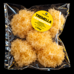 TREMELLA FUCIFORMIS DESHIDRATADA x 100g